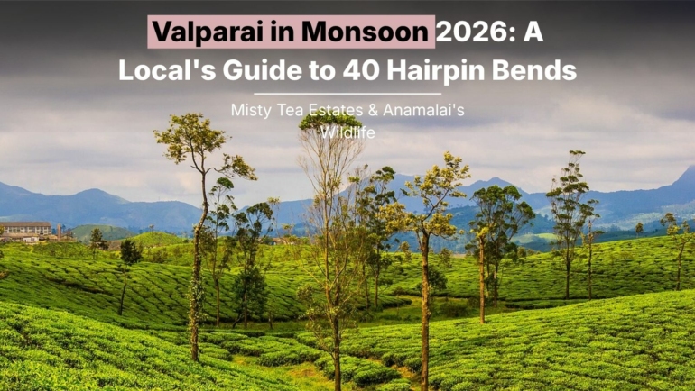 Valparai in Monsoon