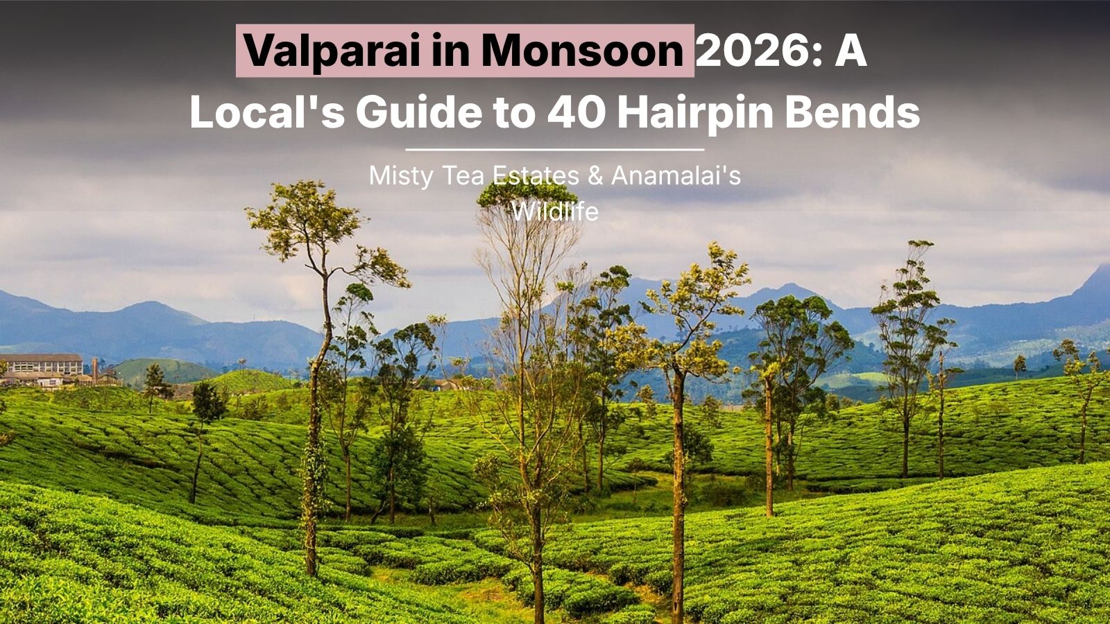 Valparai in Monsoon