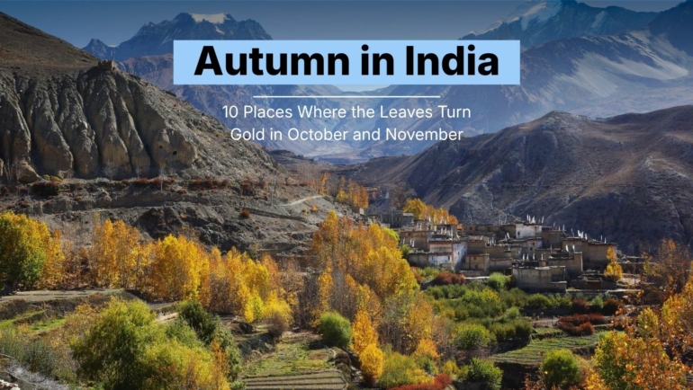 Autumn in India