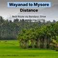 Wayanad to Mysore