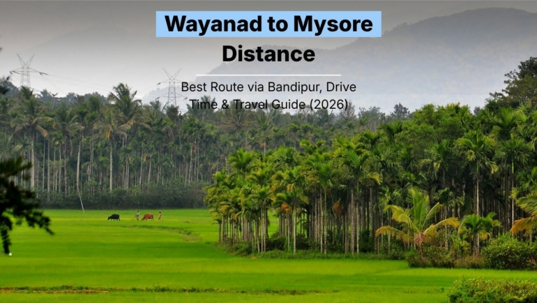Wayanad to Mysore