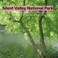 silent valley national park