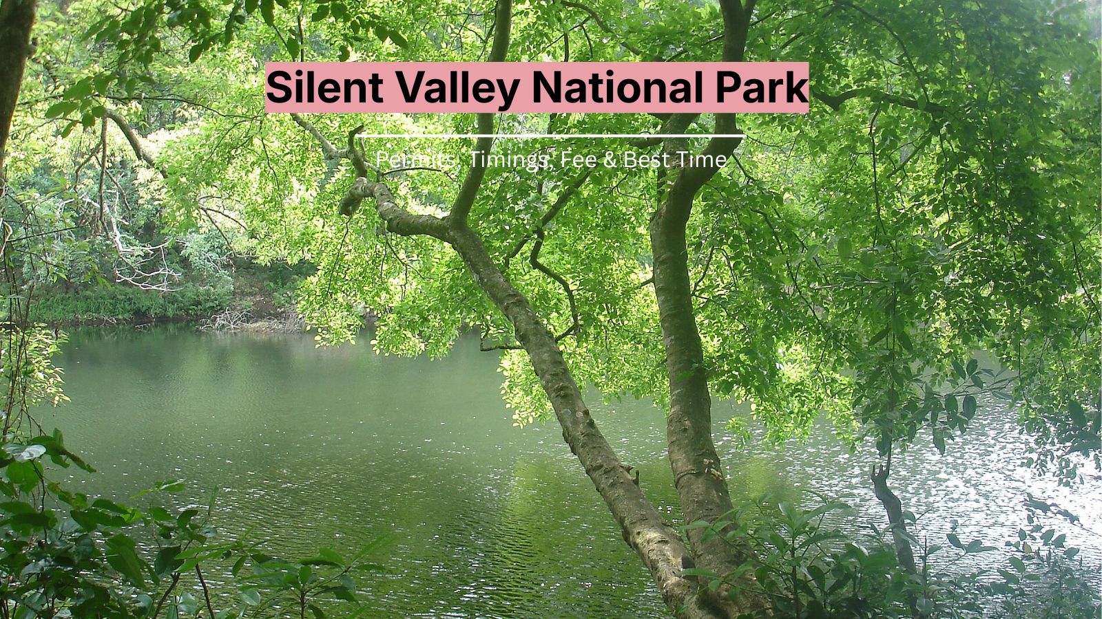 silent valley national park