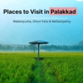 palakkad kerala