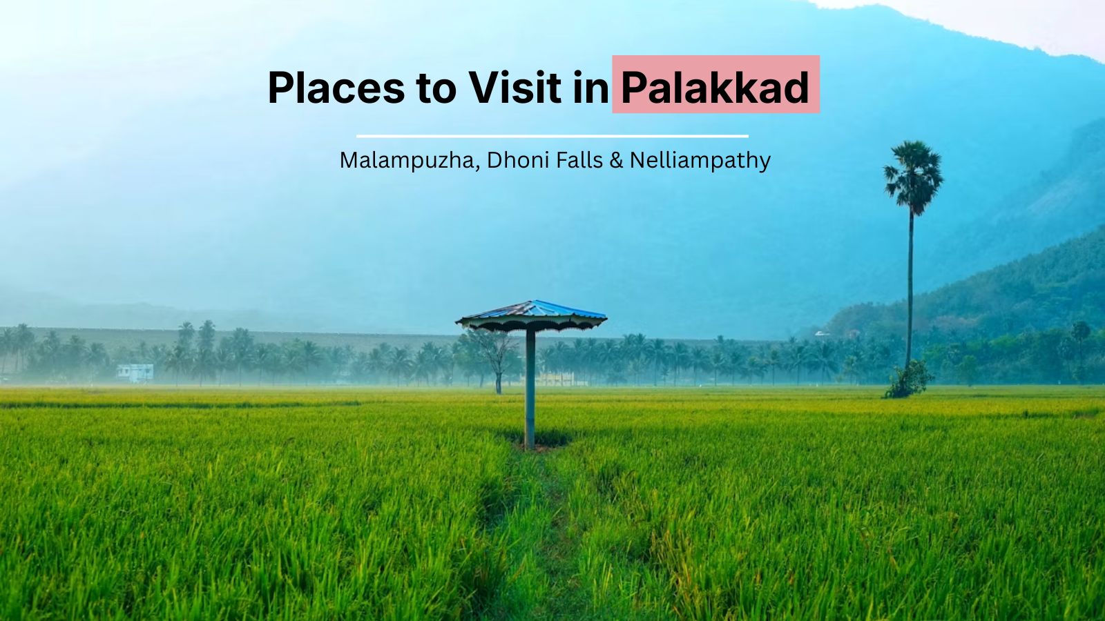 palakkad kerala