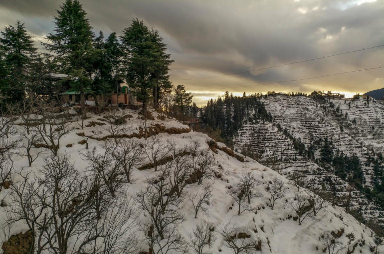 Places to visit in Kanatal