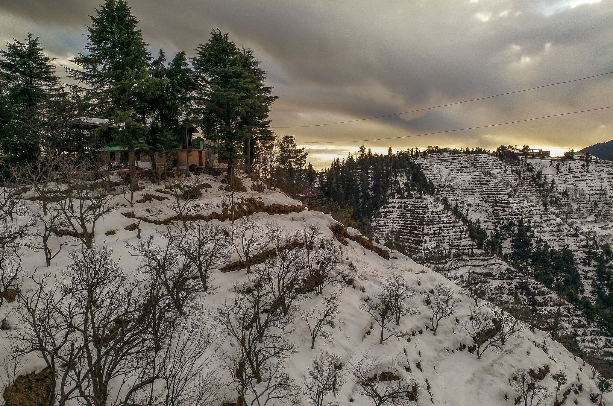 Places to visit in Kanatal