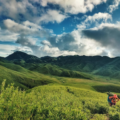 Coimbatore to Munnar road trip
