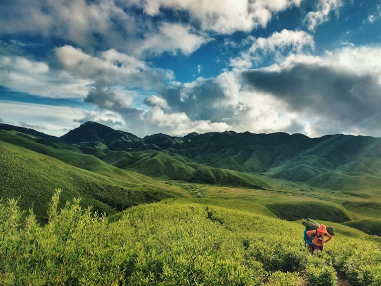 Coimbatore to Munnar road trip