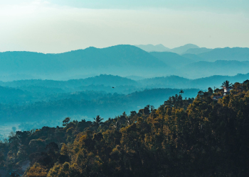 deepak-p-ynhPIGgGa2g-unsplash deepak-p-ynhPIGgGa2g-unsplash